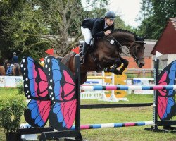 jumper Obora's Louisa (Oldenburg show jumper, 2007, from Sir Shutterfly)