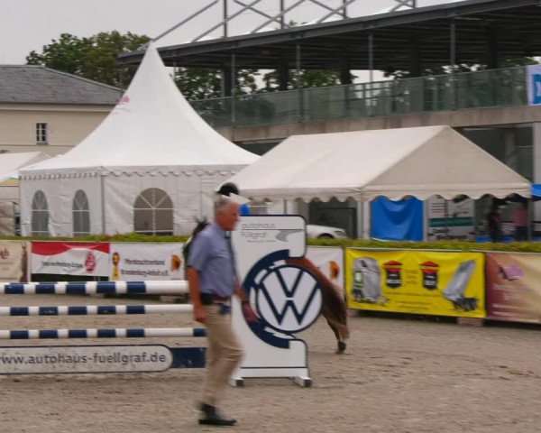 Reitturnier Neustadt/Dosse 2021