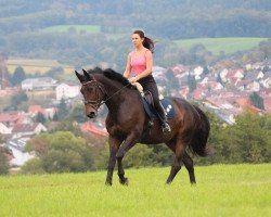 dressage horse Rubinia Royal (Oldenburg, 2002, from Rubin Royal OLD)