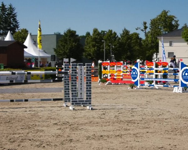 Reitturnier Neustadt/Dosse 2021