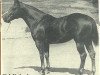 Deckhengst Ed Echols (Quarter Horse, 1940, von Zantanon)