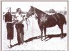 Zuchtstute Annie Echols (Quarter Horse, 1952, von Ed Echols)