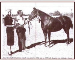 broodmare Annie Echols (Quarter Horse, 1952, from Ed Echols)