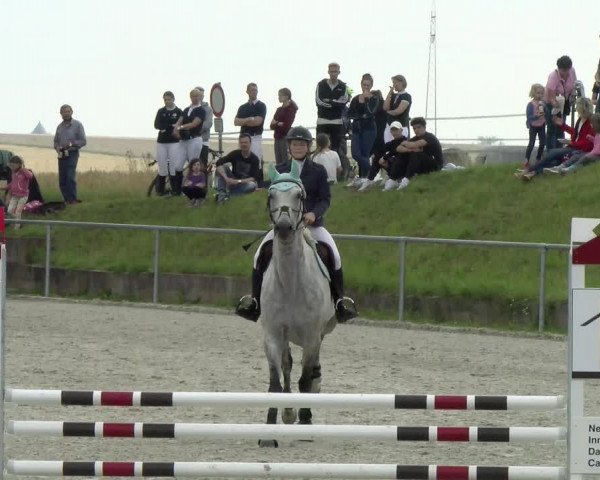 Reitturnier Ehningen 2021