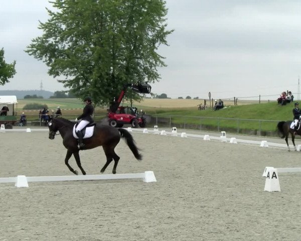 Reitturnier Ehningen 2021