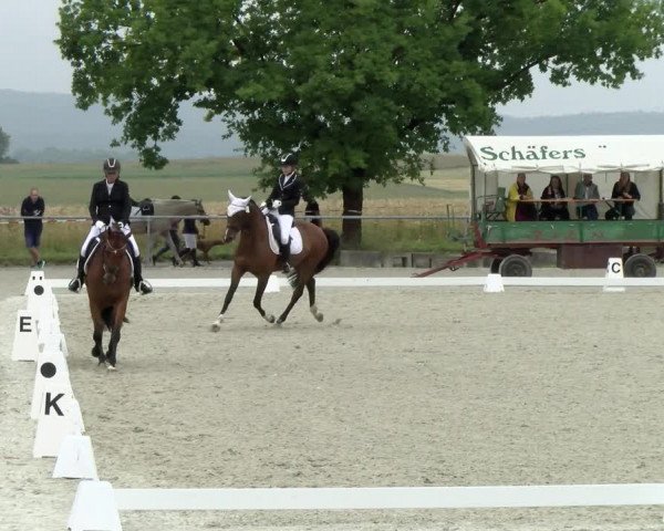 Reitturnier Ehningen 2021
