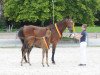 broodmare La Petite (Bavarian, 1989, from Lord Incipit)