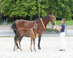 broodmare La Petite (Bavarian, 1989, from Lord Incipit)