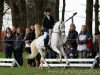 stallion Falsario de Color (German Riding Pony, 2001, from Feingold)