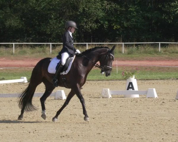 Reitturnier Heiligenwald 2021