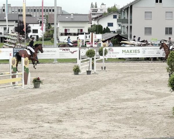 Reitturnier Dagmersellen 2021