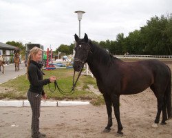 broodmare Tamina I (Lehmkuhlen Pony,  , from Tarzan I)