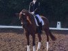 dressage horse Rawaya W (Oldenburg, 2009, from Dimaggio)