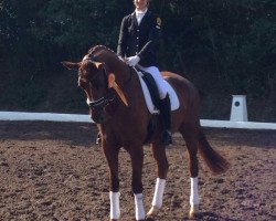 dressage horse Rawaya W (Oldenburg, 2009, from Dimaggio)