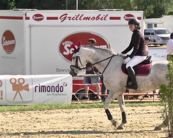 Reitturnier Heiligenwald 2021
