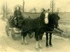 stallion Speedwell (Welsh-Pony (Section B), 1932, from Quicksilver)