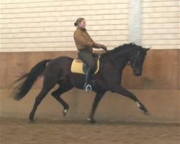 broodmare Lolita (Mecklenburg, 1998, from Lafitte)