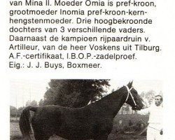 broodmare Fomia (Gelderland, 1964, from Admiraal)