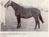 broodmare Lille-Fomia (KWPN (Royal Dutch Sporthorse), 1970, from Millerole xx)