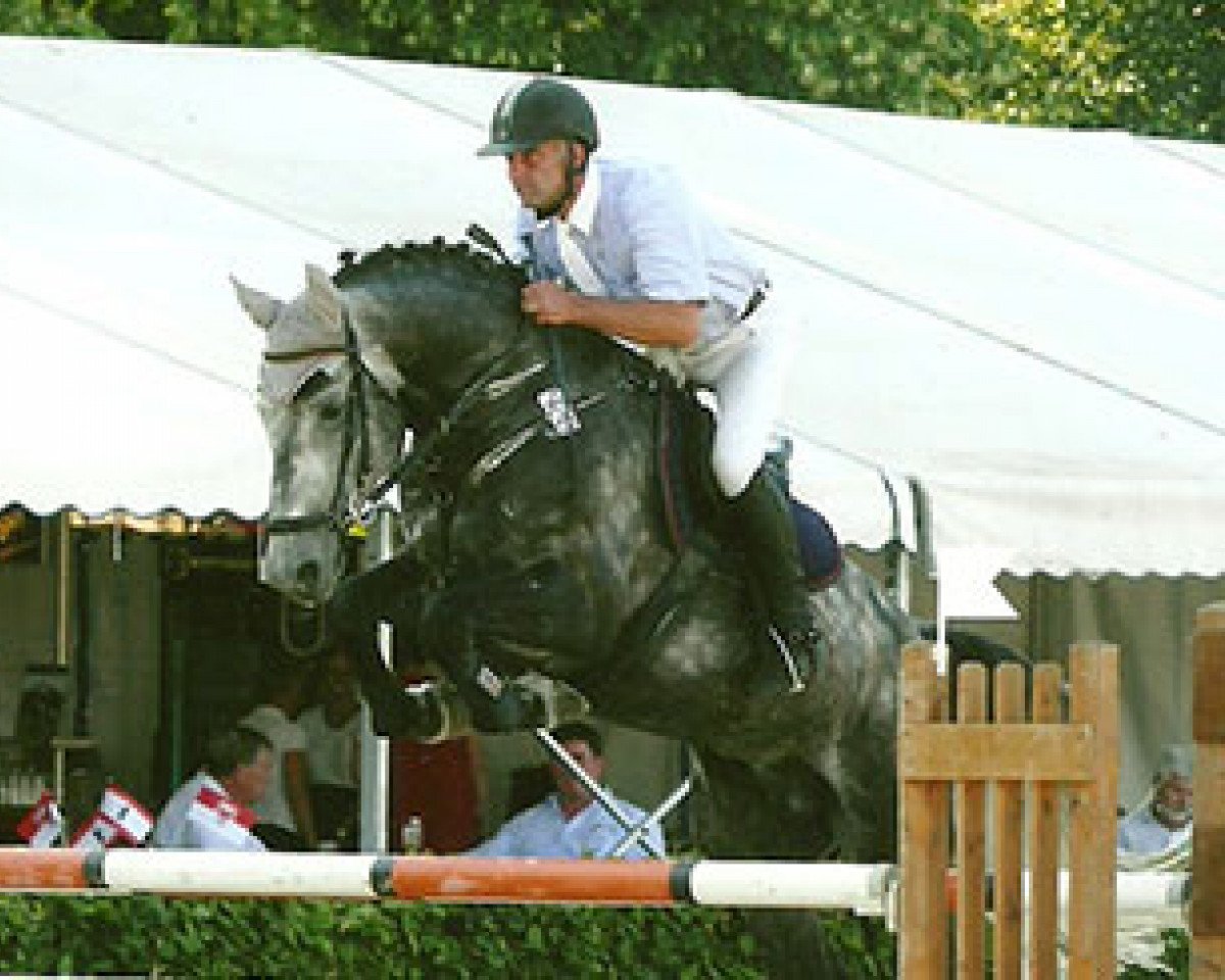 Deckhengst Pessoavelle (Deutsches Sportpferd, 2004, von Pessoa VDL)