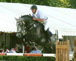 Springpferd Pessoavelle (Deutsches Sportpferd, 2004, von Pessoa VDL)