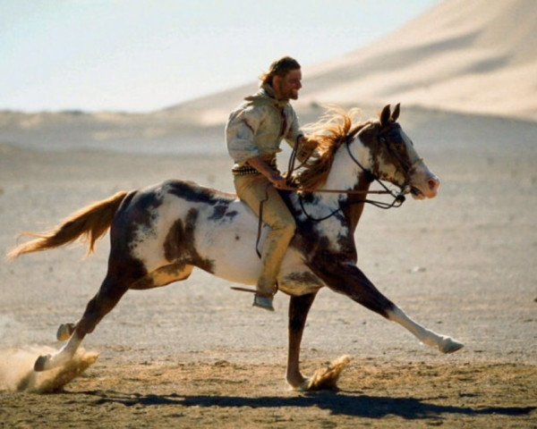 horse Hidalgo (Mustang, 1890)
