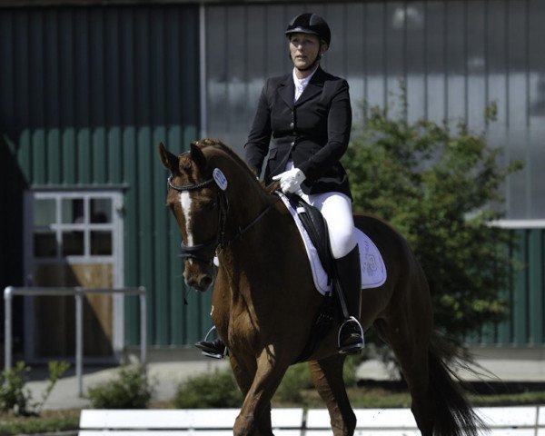 dressage horse La Viva (Oldenburg,  , from Londonderry)