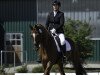 dressage horse La Viva (Oldenburg,  , from Londonderry)