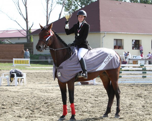 horse Liza (Hungarian Warmblood, 2006, from Amati)