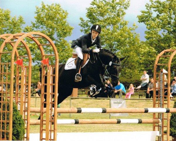 horse Littllady (German Riding Pony, 2003, from Top Mariano)