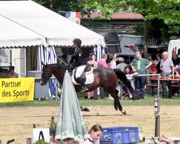 Reitturnier Heiligenwald 2021