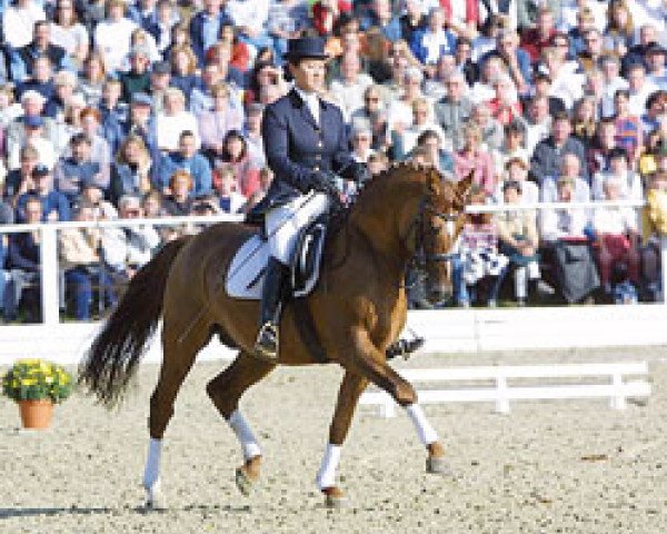 stallion Ulfenbach Dream Boy (German Riding Pony, 1994, from Derano Gold)