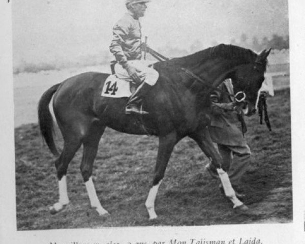 stallion Morvillars xx (Thoroughbred, 1931, from Mon Talisman xx)