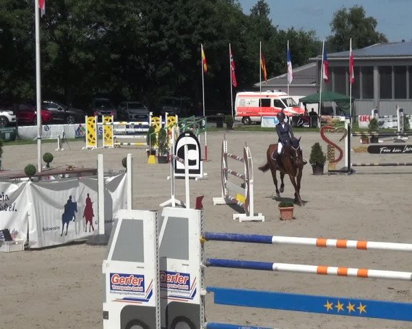 Giebelwald Classics mit Westfälische Meisterschaften Dressur und Springen 2021