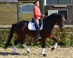 broodmare Contessa (Württemberger, 2010, from Con Spirito R)