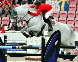 stallion Coltaire Z (Zangersheide riding horse, 1997, from Carthago)