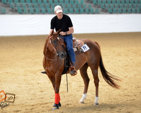 Pferd THE BEST OF PEPPY (Quarter Horse, 2005, von Peppy B Dandy)