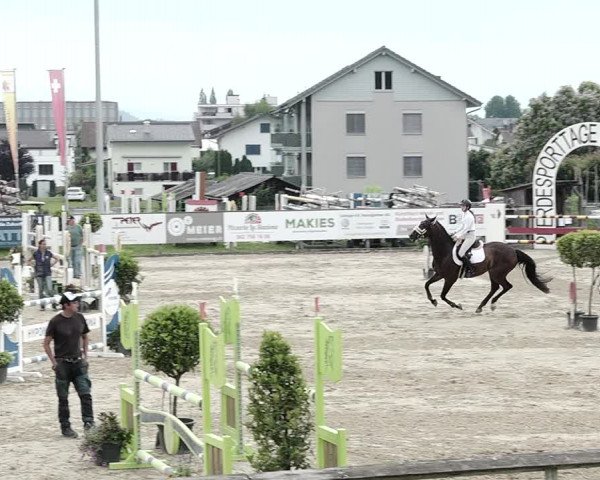 Reitturnier Dagmersellen 2021