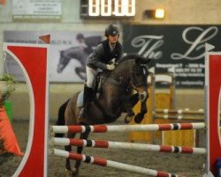 broodmare Wandra van de Prinsenhof (Belgian Riding Pony, 1995, from Braamhoeve Werner)