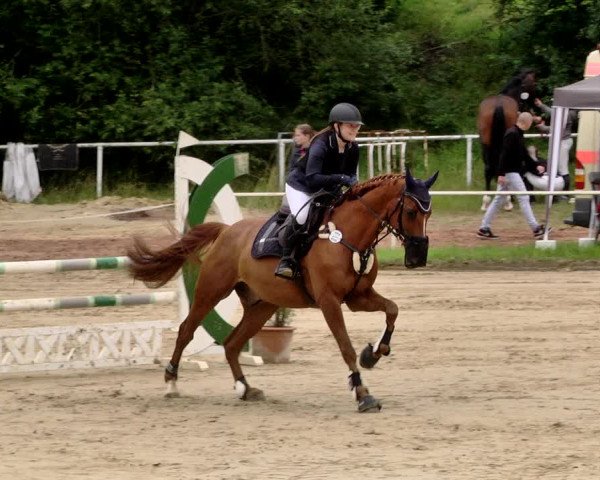 Reitturnier Heiligenwald 2021