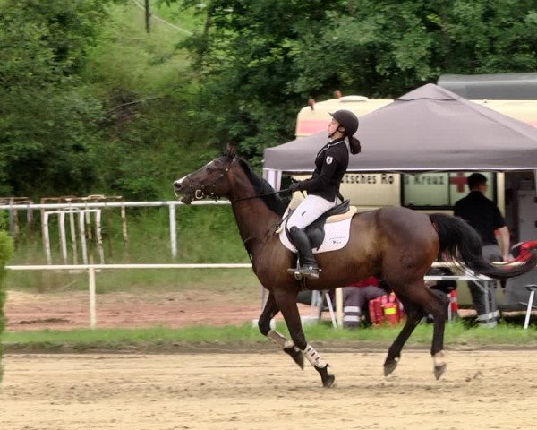 Reitturnier Heiligenwald 2021