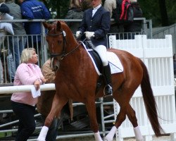 dressage horse FBW Future (Württemberger, 2003, from Feinsinn)