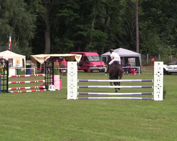 Reitturnier Boock 2021