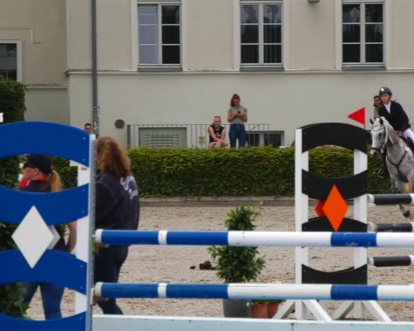 Reitturnier Neustadt/Dosse 2021