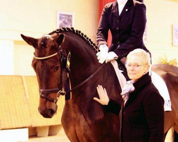 dressage horse Robinvale (Hanoverian, 2007, from Rubinero 2)