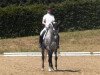 dressage horse Runa In Wit (Westphalian, 2008, from Riccio)