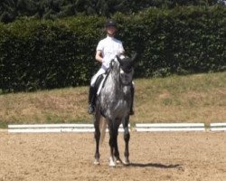 dressage horse Runa In Wit (Westphalian, 2008, from Riccio)