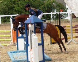 Springpferd Olina Sweet Girl (Deutsches Reitpferd, 2009, von Quasi Quattro)