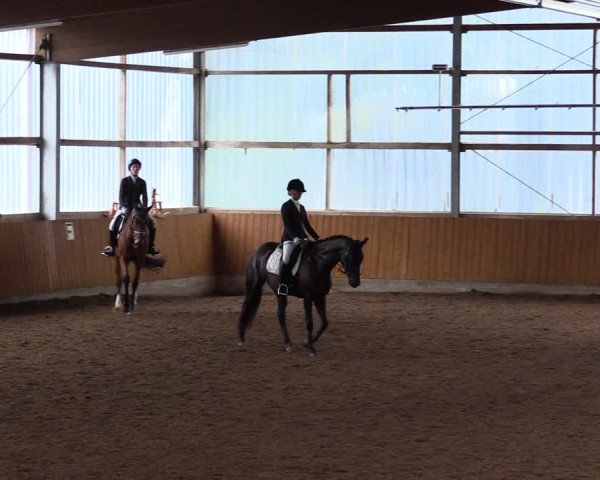 Reitturnier Herbern 2021