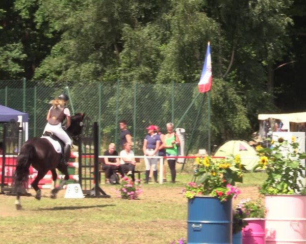 Reitturnier Boock 2021
